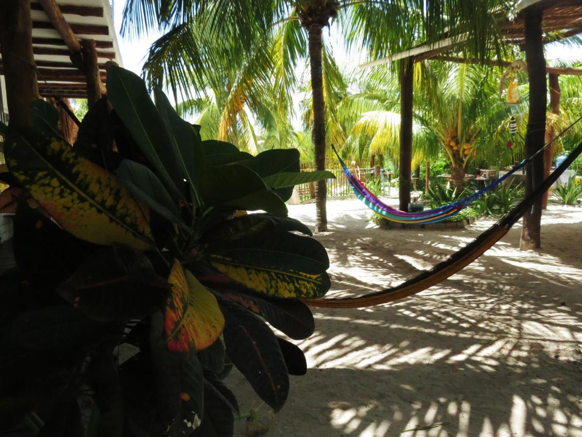 Art Maya Rooms Isla Holbox Екстериор снимка